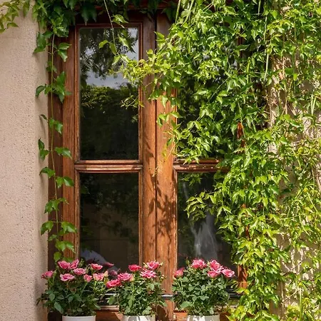 Hotel Joan Capo - Adults Only Sineu (Mallorca)